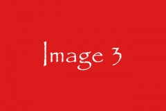 TI3: Image 3